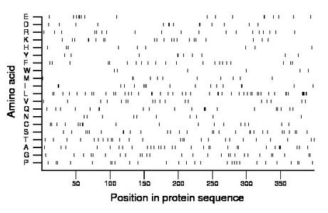 amino acid map