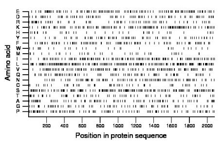 amino acid map