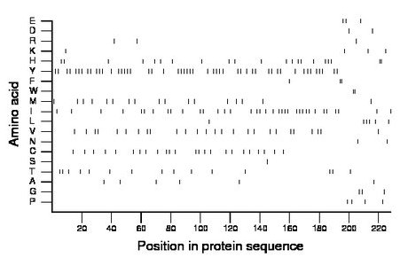 amino acid map