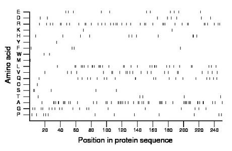 amino acid map