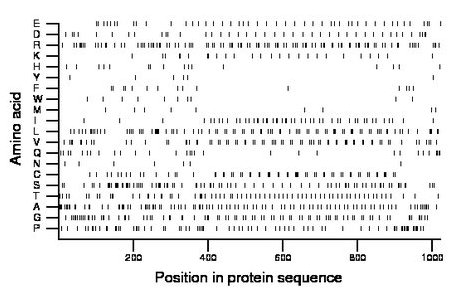 amino acid map