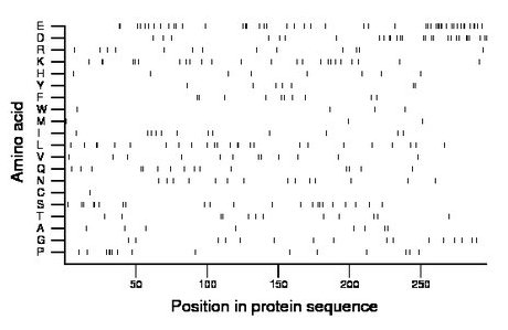 amino acid map