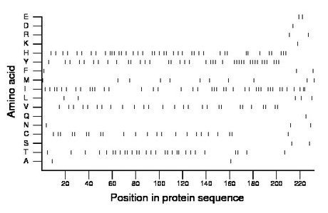 amino acid map