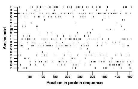 amino acid map