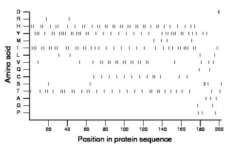 amino acid map