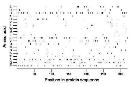 amino acid map