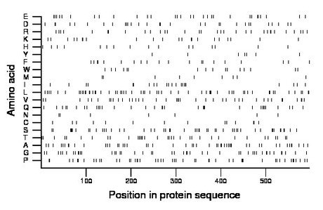 amino acid map