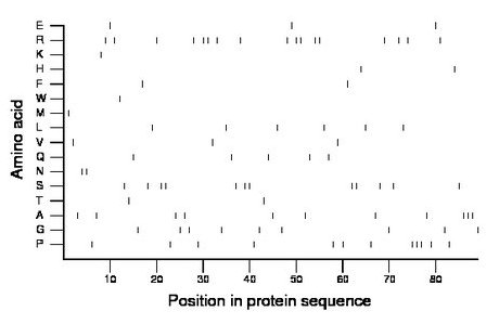 amino acid map