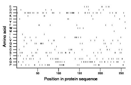 amino acid map