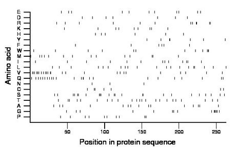 amino acid map