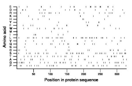 amino acid map