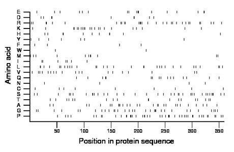 amino acid map