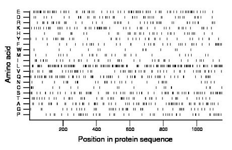 amino acid map