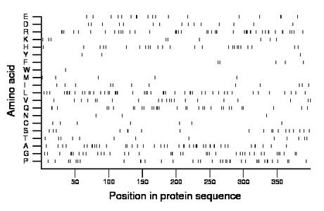 amino acid map