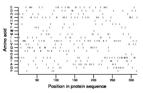 amino acid map