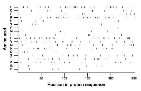 amino acid map