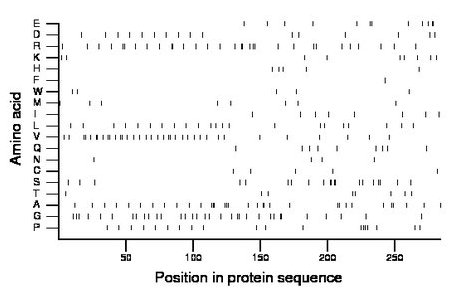 amino acid map