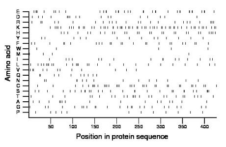 amino acid map