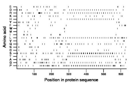 amino acid map