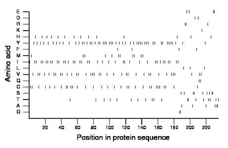 amino acid map