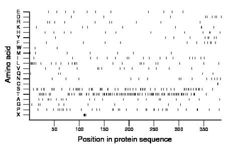 amino acid map