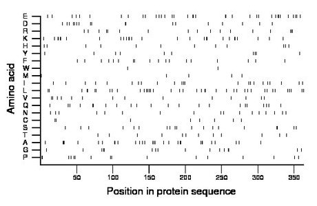 amino acid map