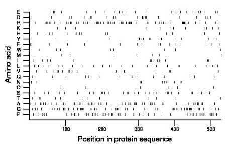 amino acid map