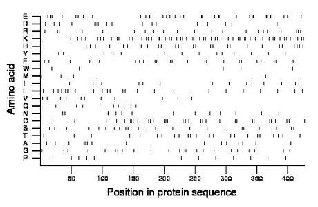 amino acid map