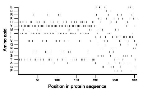 amino acid map