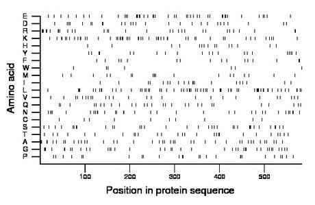 amino acid map