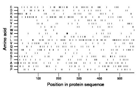 amino acid map