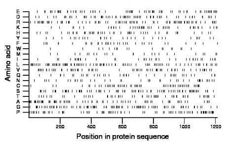 amino acid map