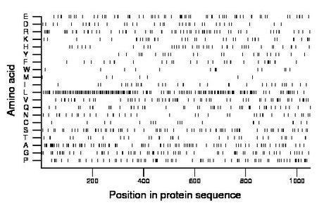 amino acid map