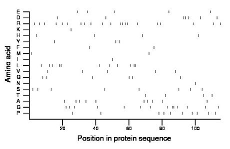 amino acid map