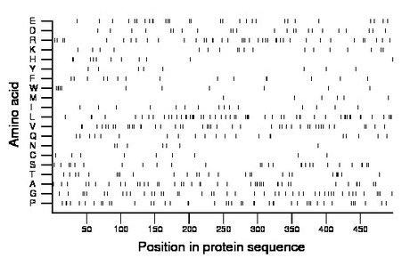 amino acid map