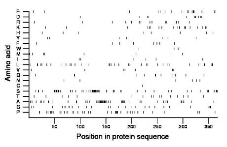 amino acid map