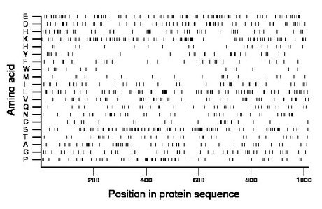 amino acid map