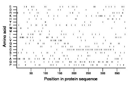 amino acid map