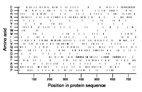 amino acid map