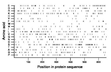 amino acid map