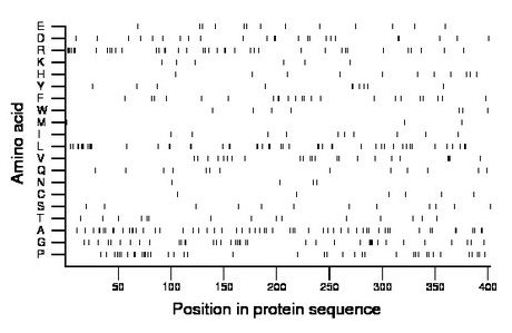 amino acid map