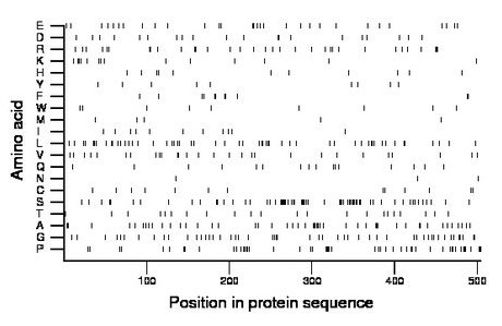 amino acid map