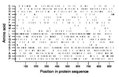 amino acid map