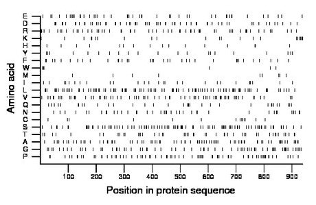 amino acid map