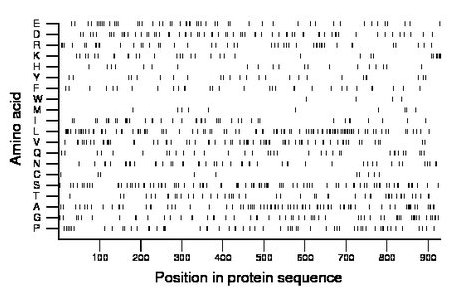 amino acid map