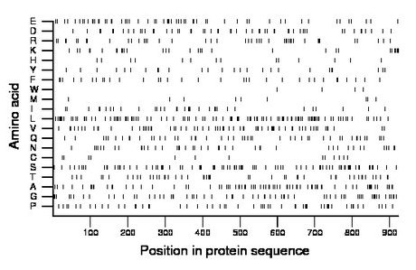 amino acid map