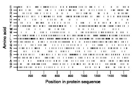 amino acid map