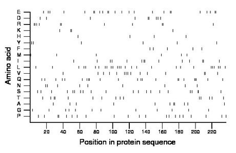 amino acid map