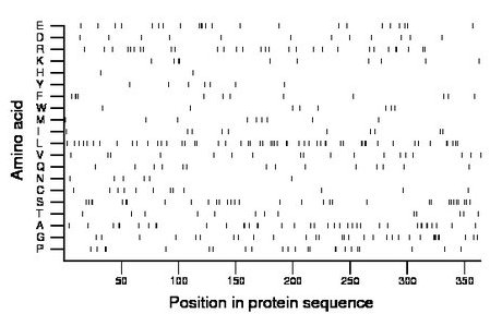 amino acid map