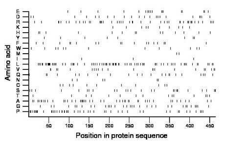 amino acid map